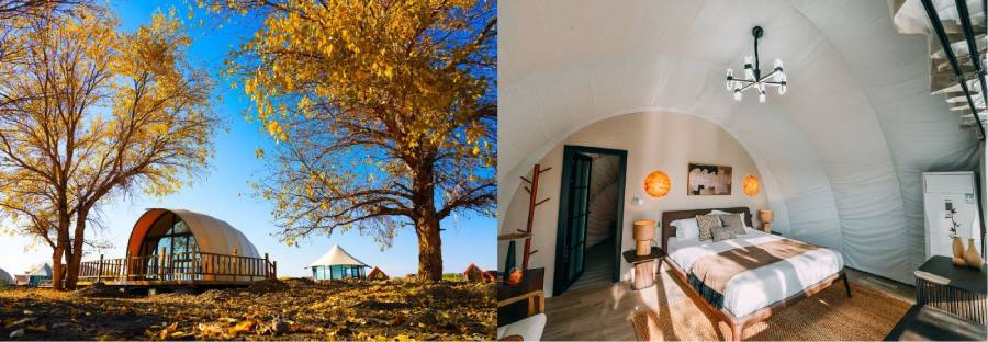 自然课堂实践基地——配备标本采集工具包的教育型南溪区户外野奢帐篷套装